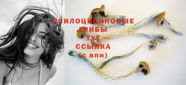 кокаин Белокуриха