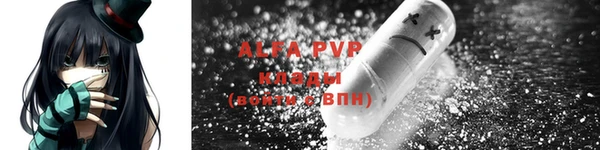 молекула духа Белоозёрский