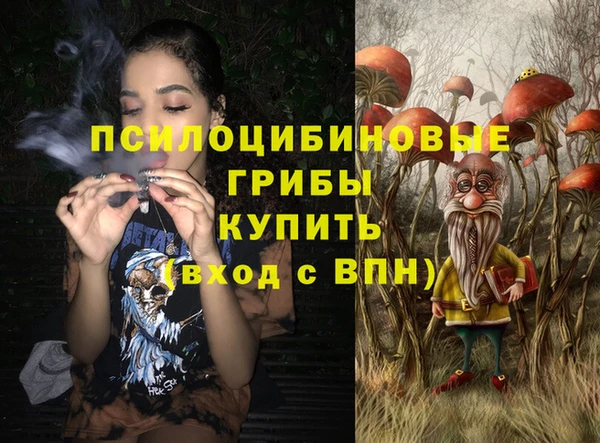 кокаин Белокуриха
