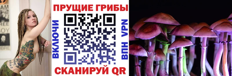 Псилоцибиновые грибы прущие грибы  Красный Холм 
